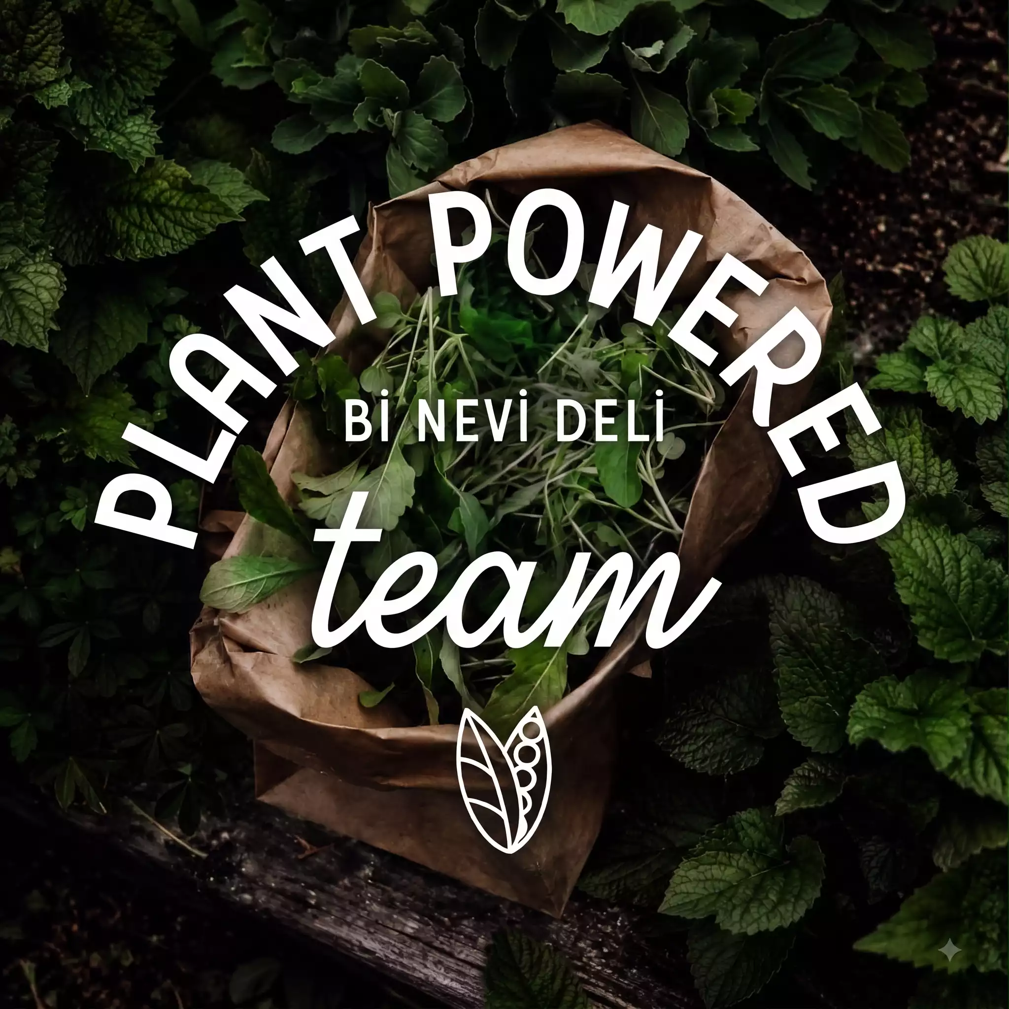 Bi Nevi Deli ile Vegan Tatlılar 
