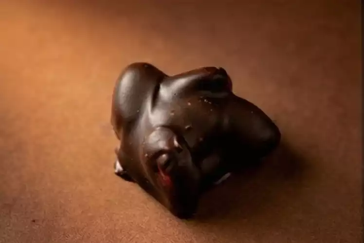 Bitter Çikolata Rocher