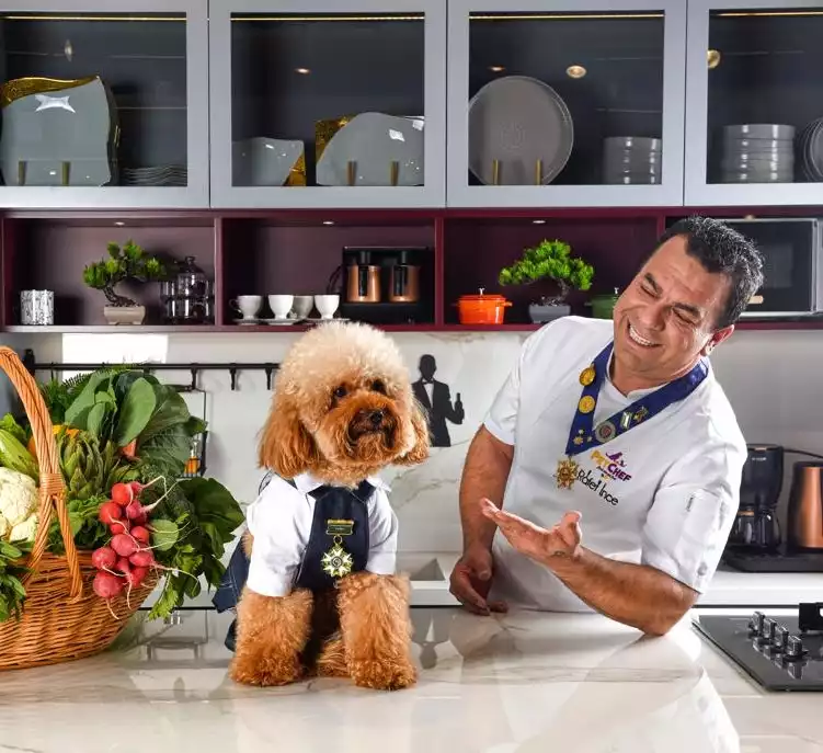 Chef Rafet İnce'den Patili Dostlara Tarifler