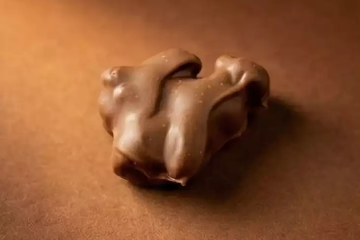 Sütlü Çikolata Rocher